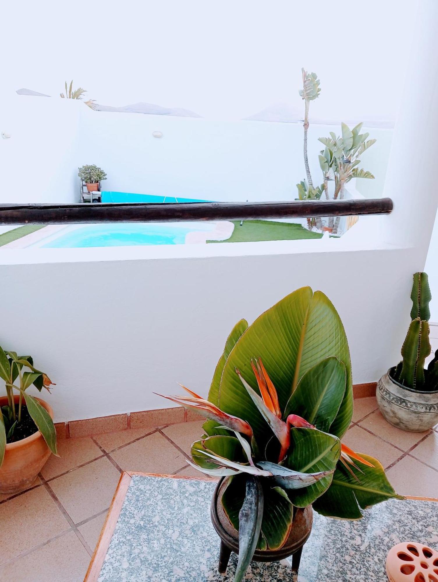 Villa Casa Strelitzia Nazaret Esterno foto