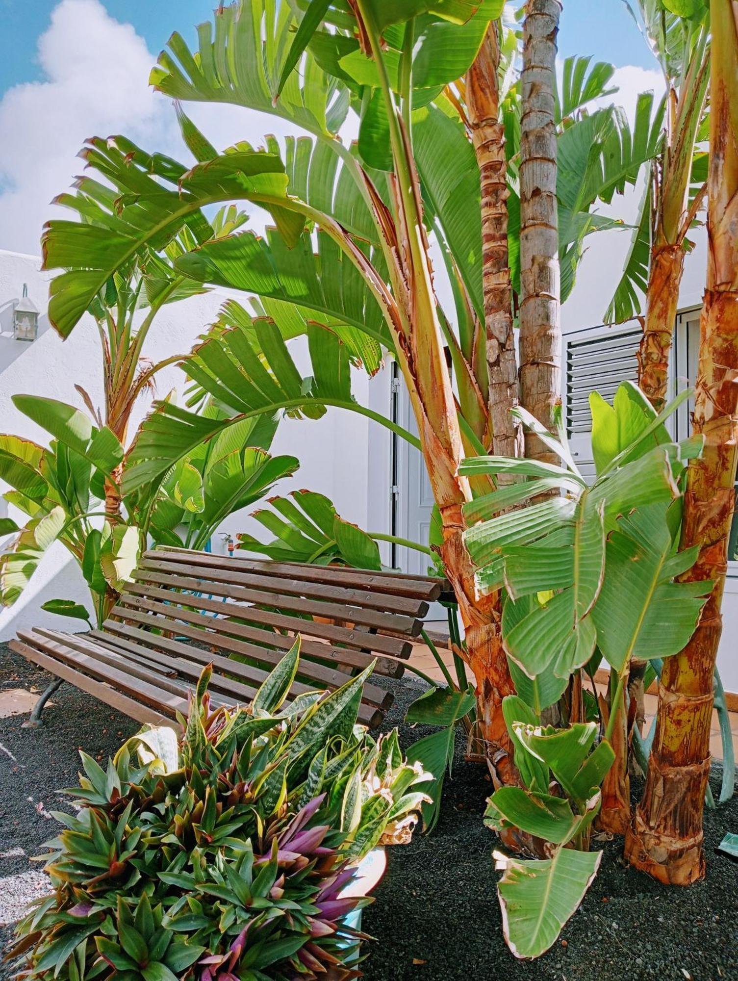 Villa Casa Strelitzia Nazaret Esterno foto