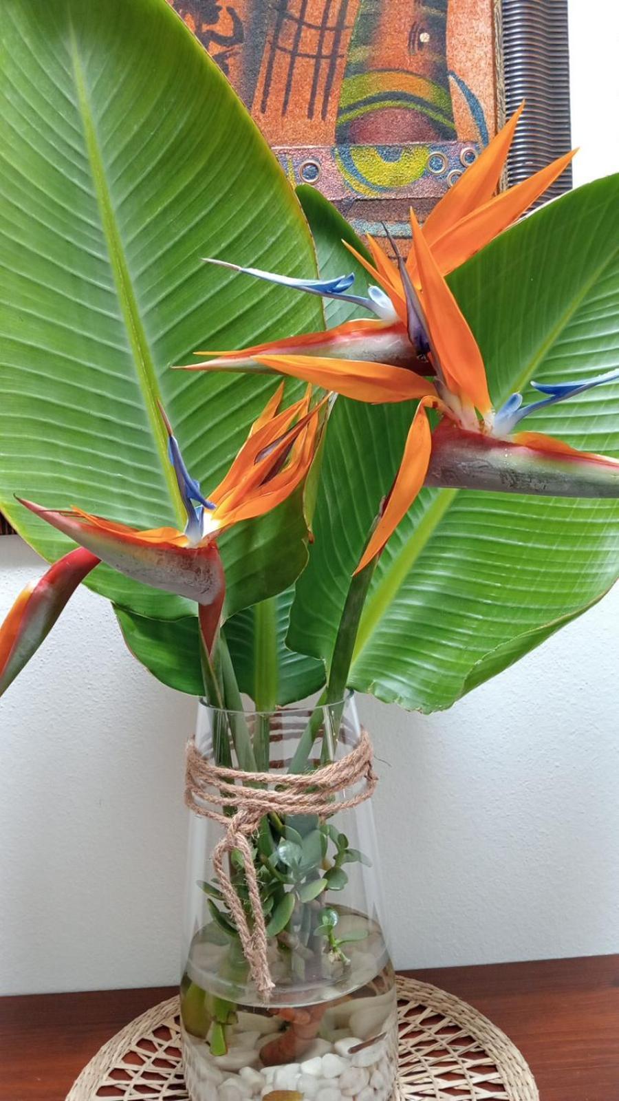 Villa Casa Strelitzia Nazaret Esterno foto