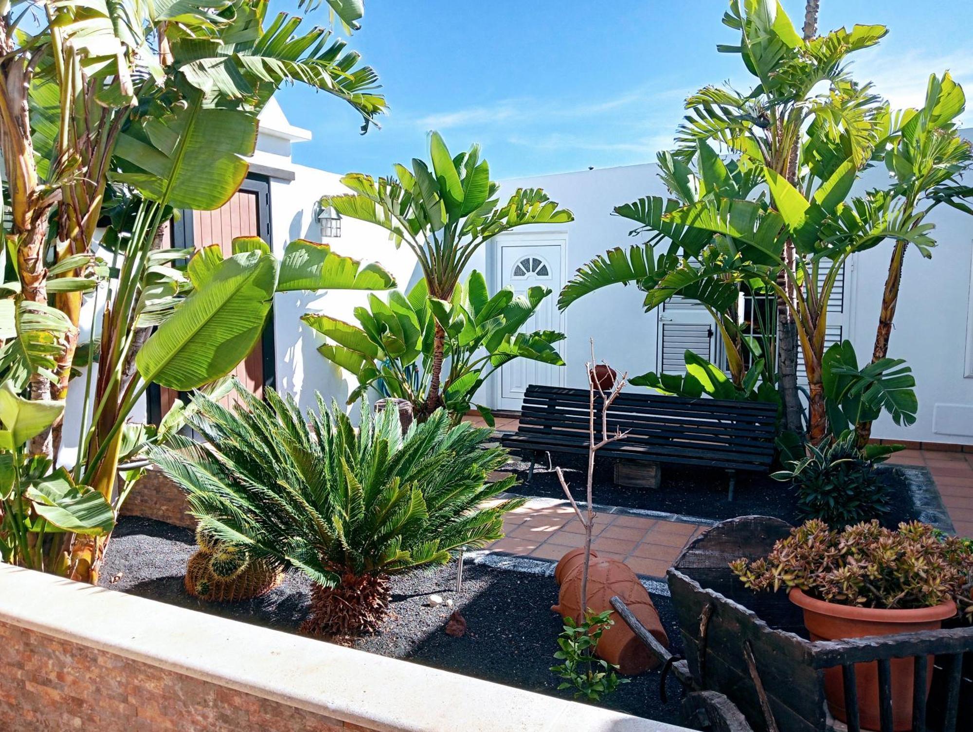Villa Casa Strelitzia Nazaret Esterno foto